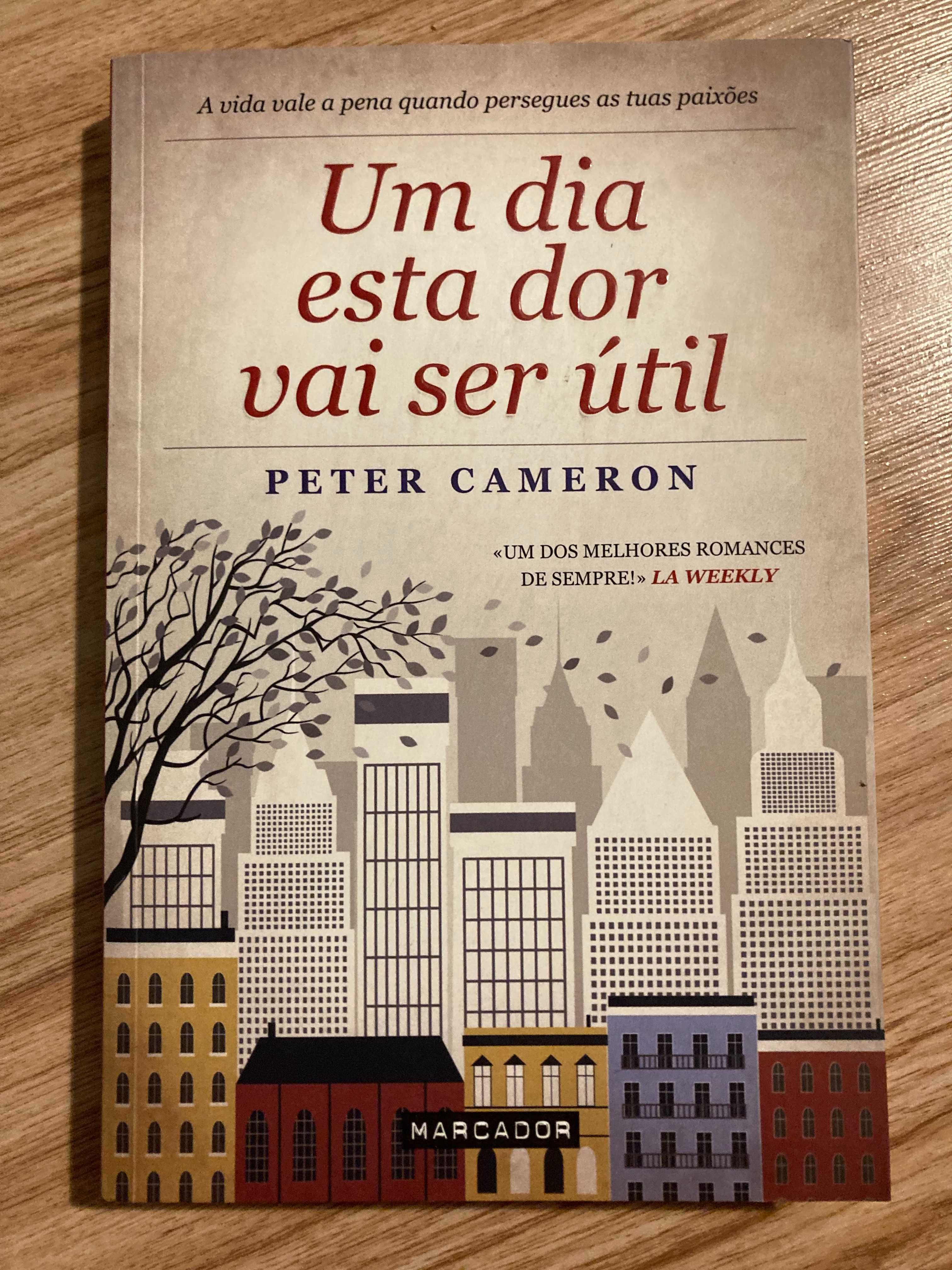 Um dia esta dor vai ser útil - Peter Cameron