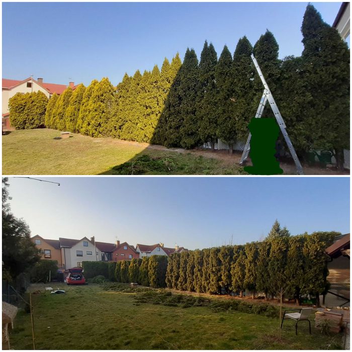 Ogrodnik Pielęgnacja utrzymanie terenów zielonych Usługi ogrodnicze