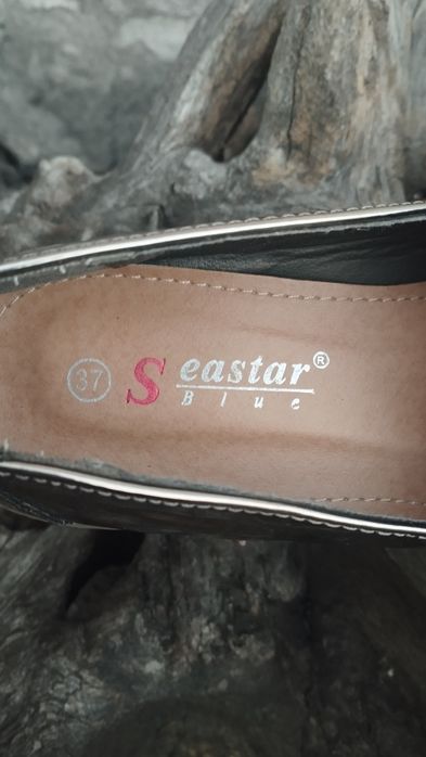 Oxfordy damskie, Seastar