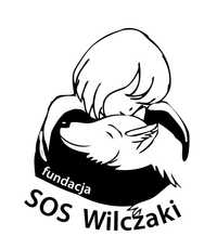 Wilczak Czechosłowacki - adopcje, porady behawioralne