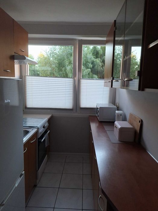 Mieszkanie 2 pokojowe do wynajęcia