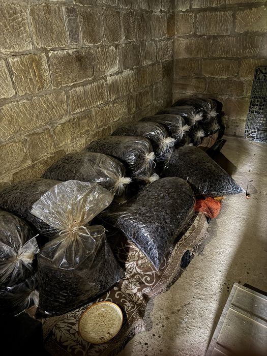 Śliwka węgierka suszona tradycyjnie ostatnie 30 kg