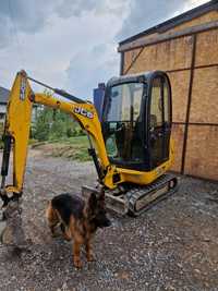 Jcb 8016 mini koparka