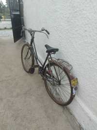Bicicleta Pasteleira com travão alavanca