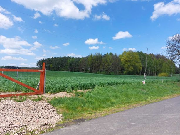 Działka budowlana Brodna, 18 minut od centrum Piła, gmina Kaczory