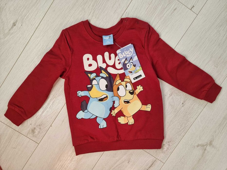Bluza dziecięca  Blue rozm. 98 unisex