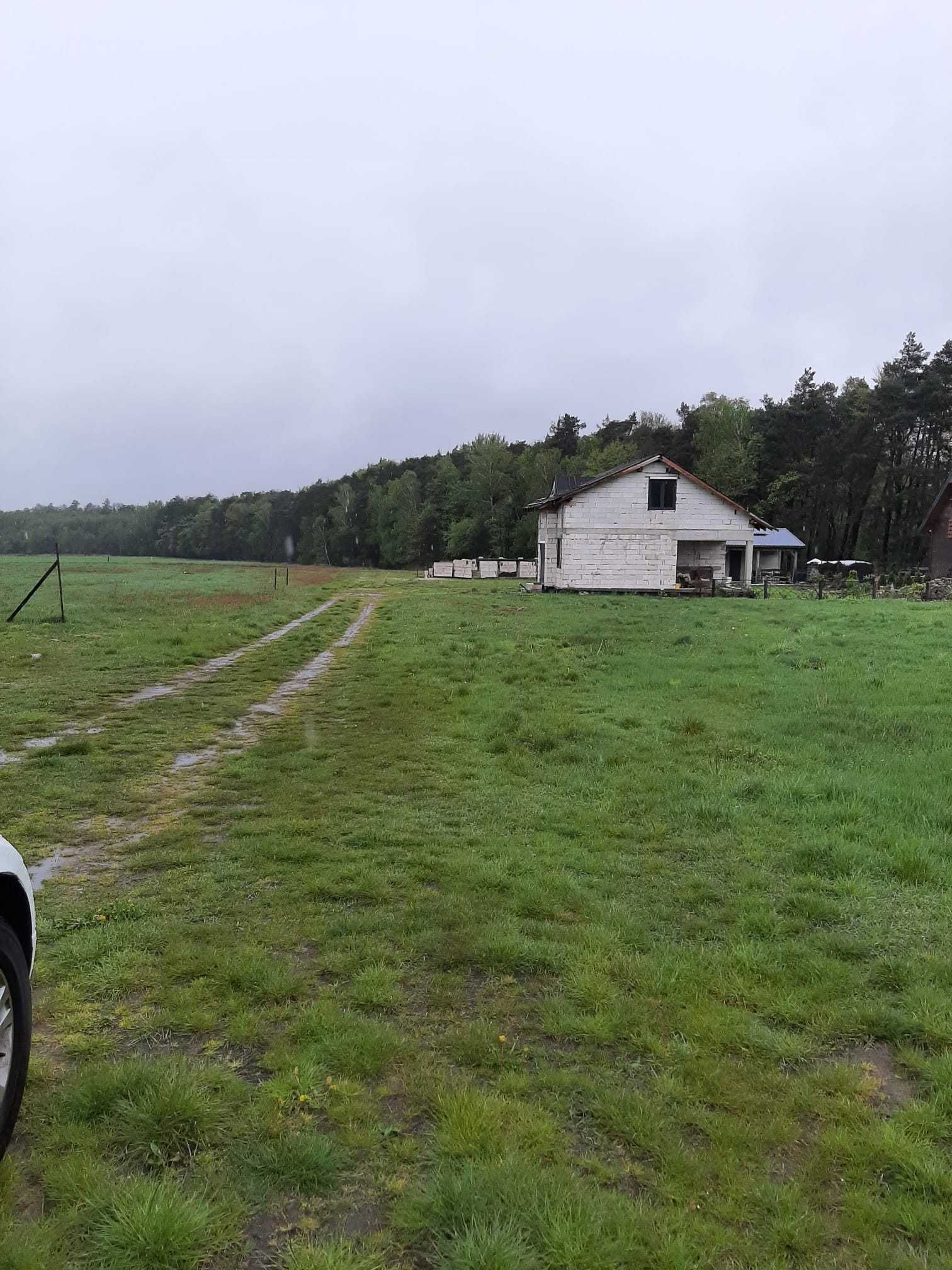 Działka budowlana Siedlików (blisko Przedborów, Mikstat, Ostrzeszów)