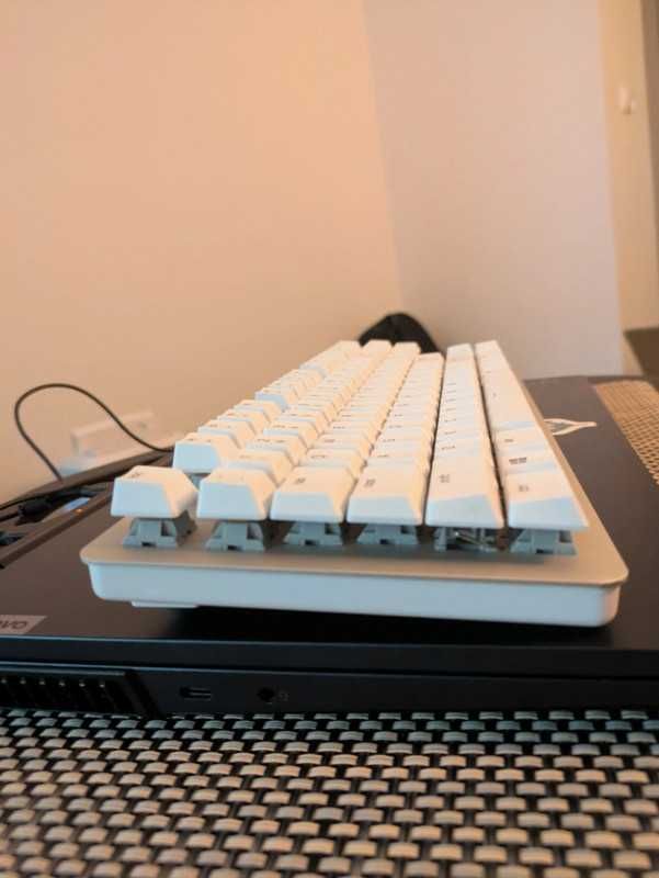 Razer Blackwidow Lite Mercury