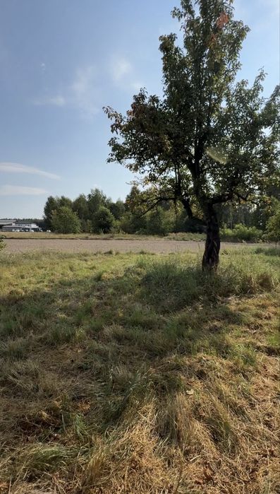 Dzialka zabudowana 1600m