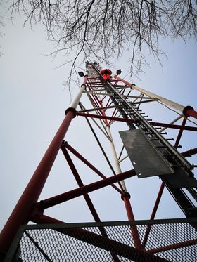 Wycinka i pielęgnacja • Trawniki • Mała architektura • Od A do Z!