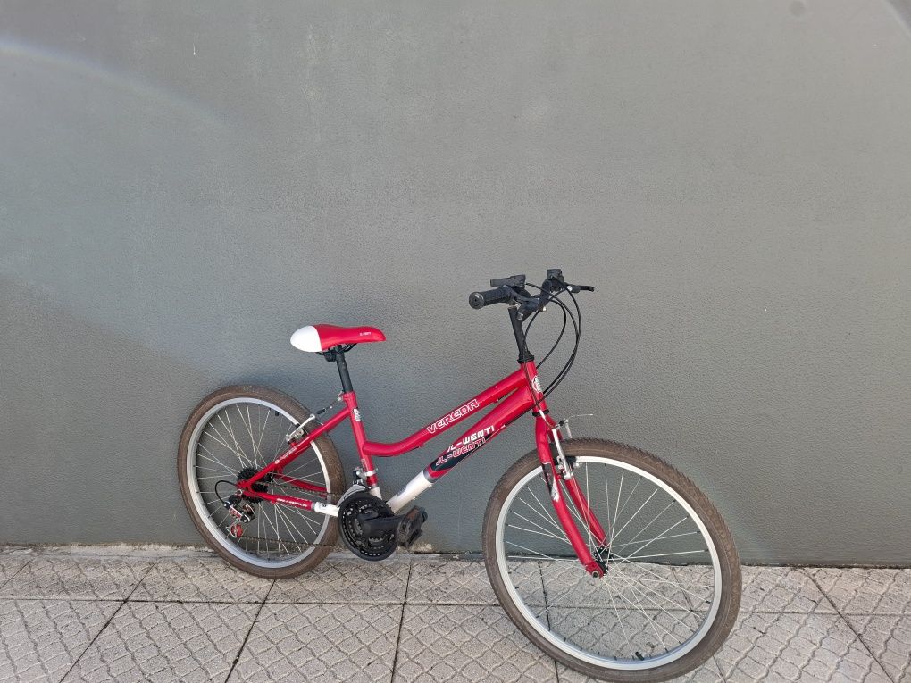 bicicleta JL-WENTI