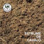 Estrume de Cavalo