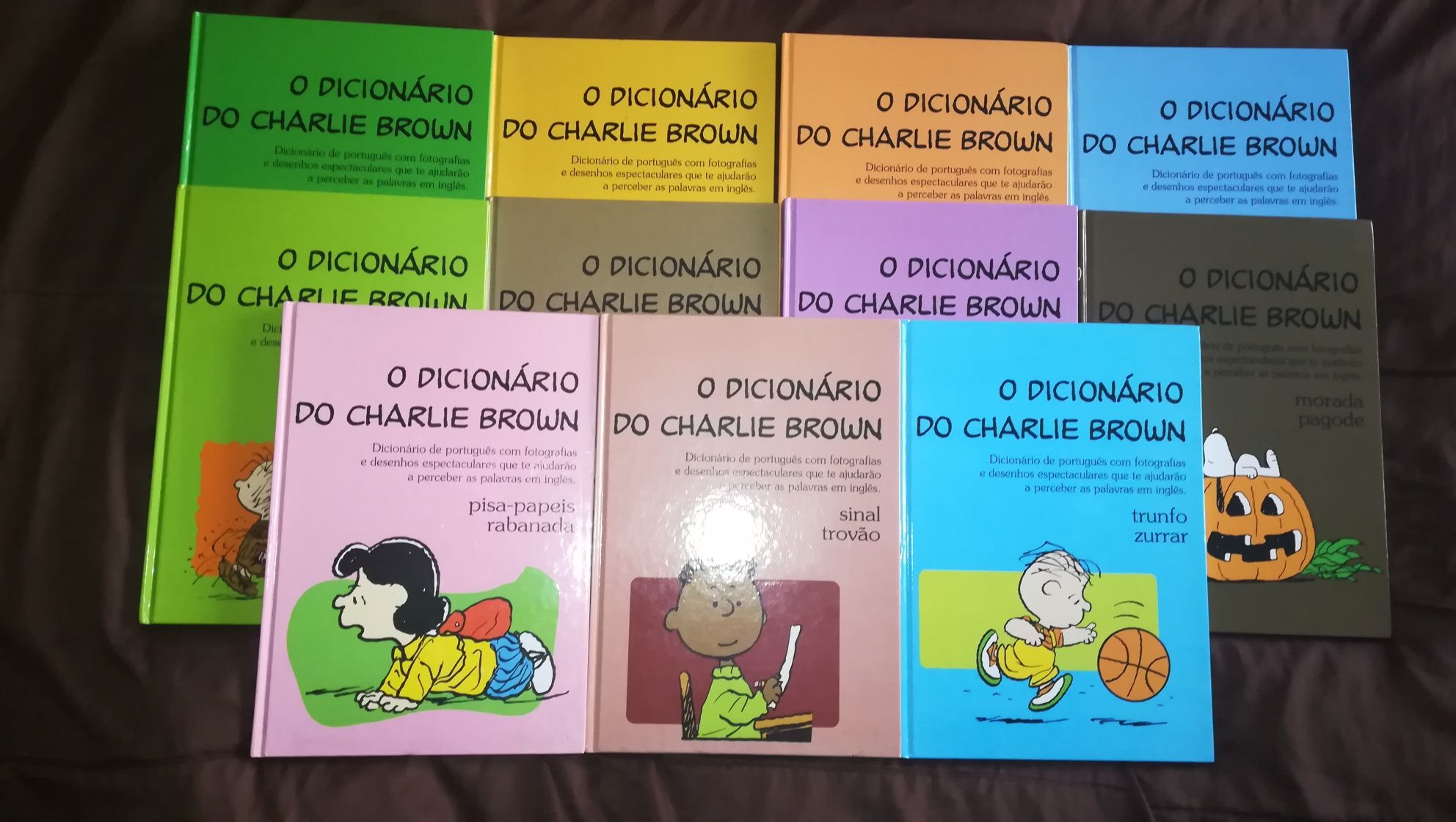 Coleção - Charlie Brown