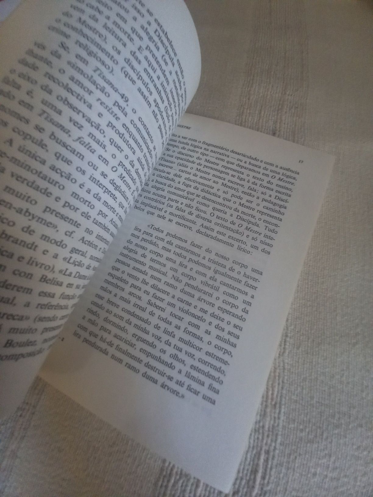 Ana Hatherly O mestre segunda edição