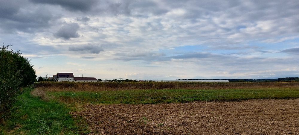 Продається земельна ділянка 50сот  село Велика Добронь