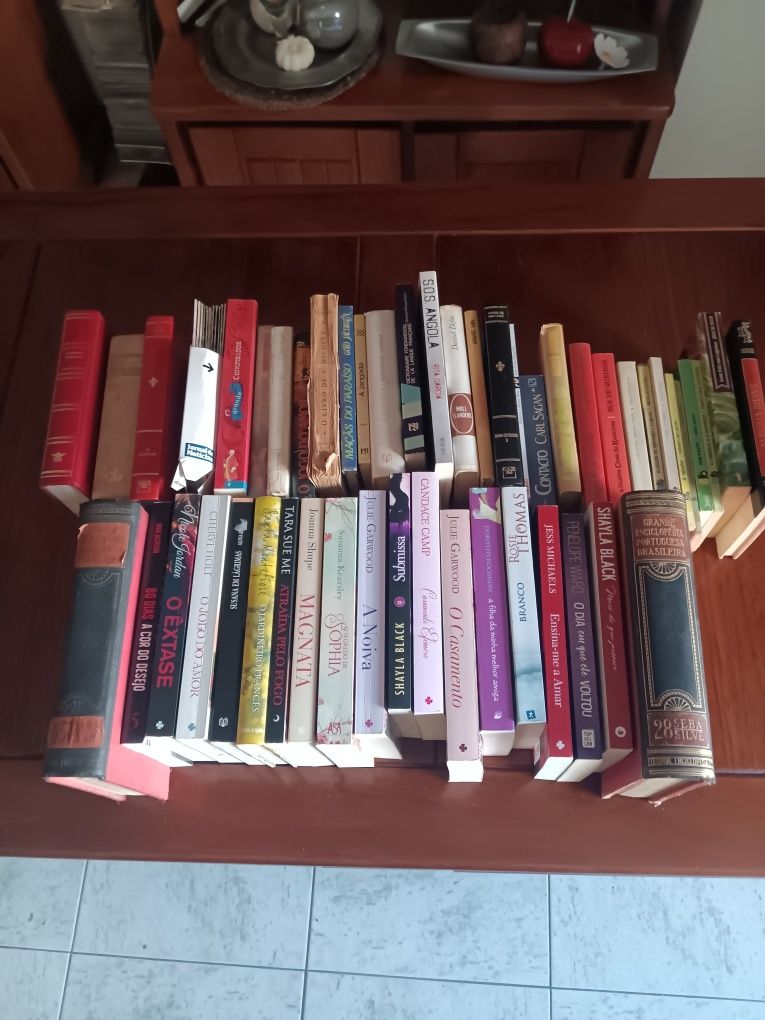 Livros usados de diversas temáticas/autores