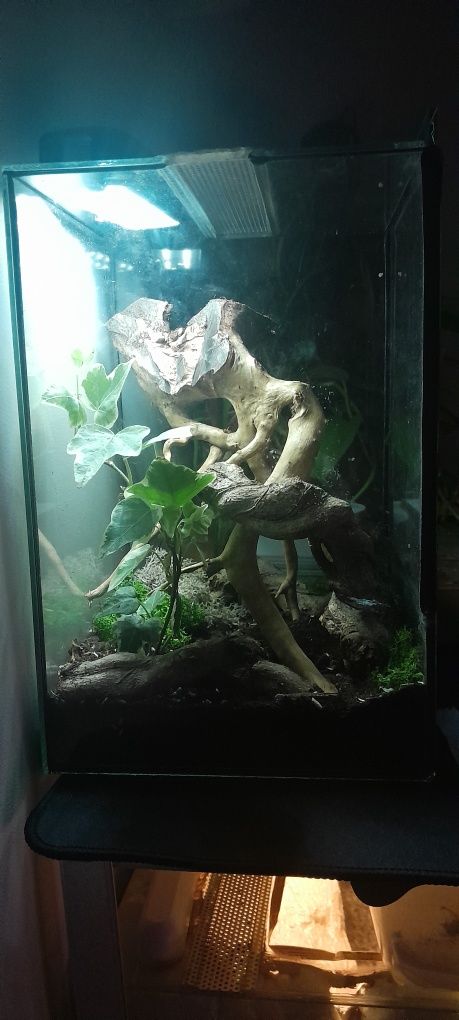 Sprzedam terrarium 30×20×20