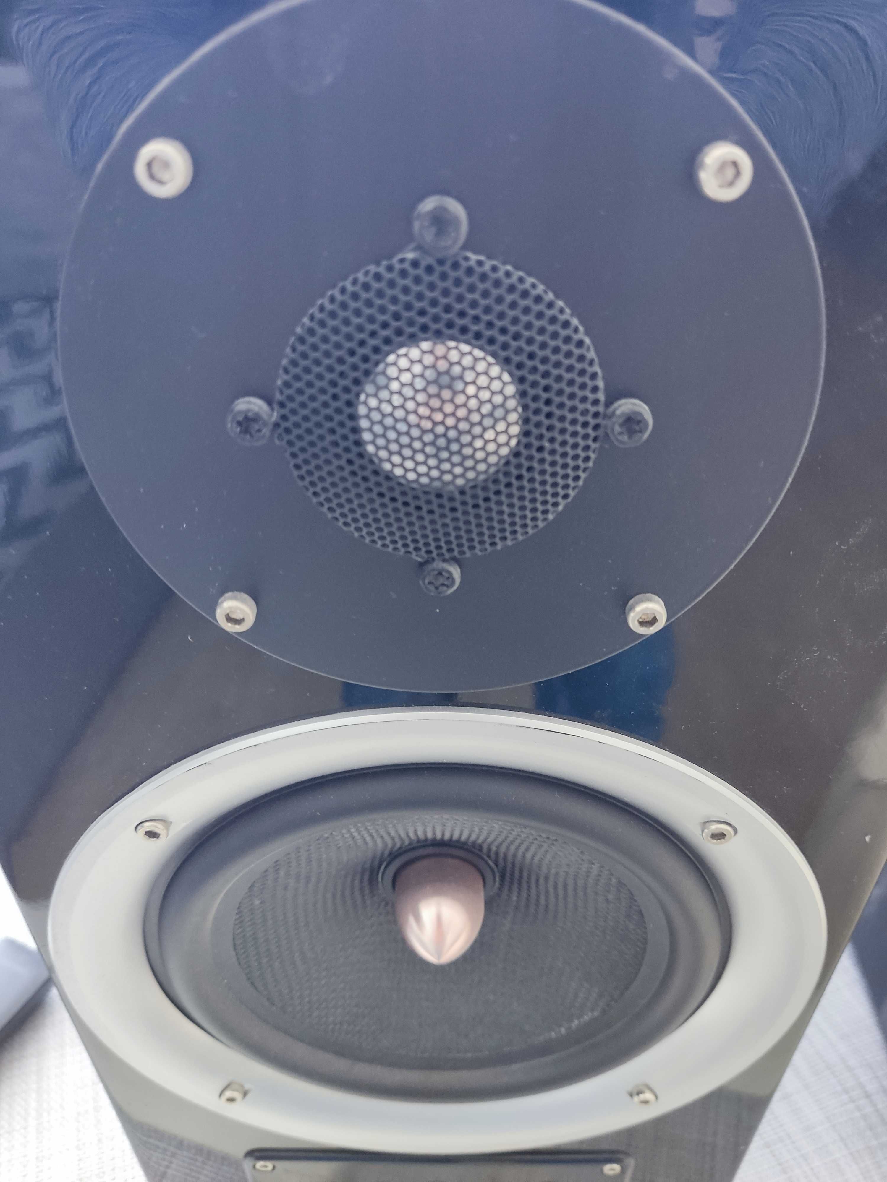 Royal scan speak hi fi