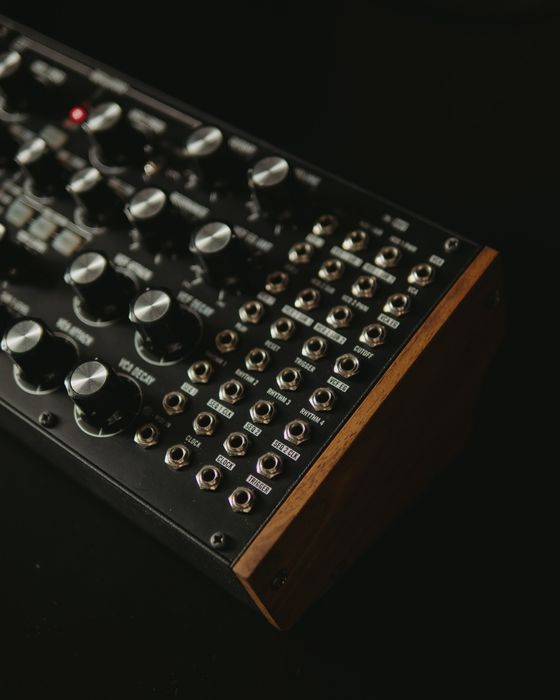 Синтезатор Moog Subharmonicon