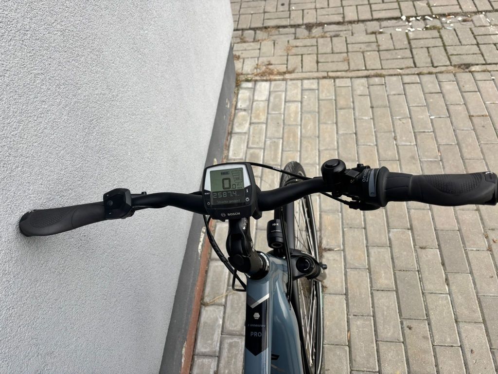Bergamot E Horizon pro h52 (160-175cm) Bosch Perfor Cx gazelle koga