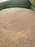 Sprzedam proso sorgo, poplon,papugi