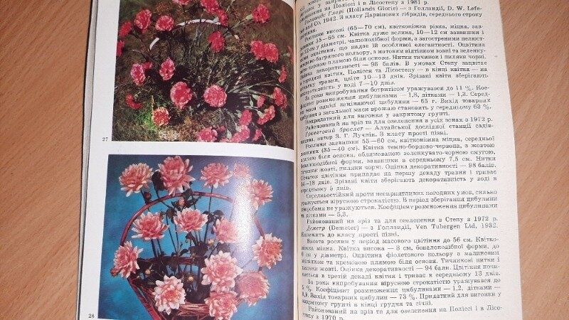 Книга Сорти квіткових та декоративних культур