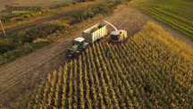 Kukurydza | zbiór | kiszonka | CLAAS Jaguar | SHREDLAGE® | RomaxAgro