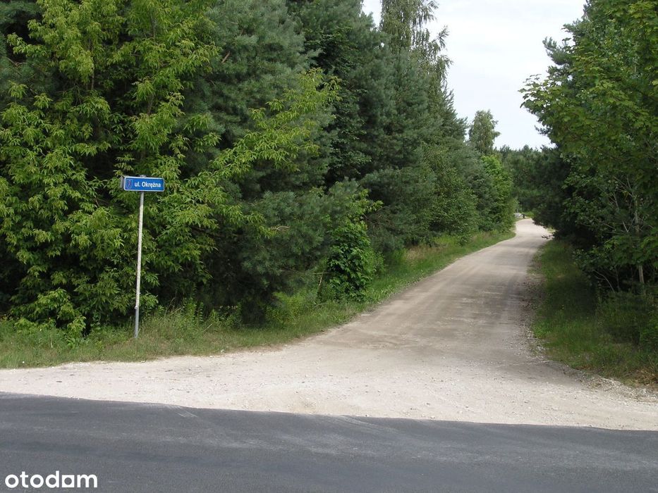 Jesienny Hit! Nowa Wieś działka pod lasem 1638m2  Ulica Okreżna