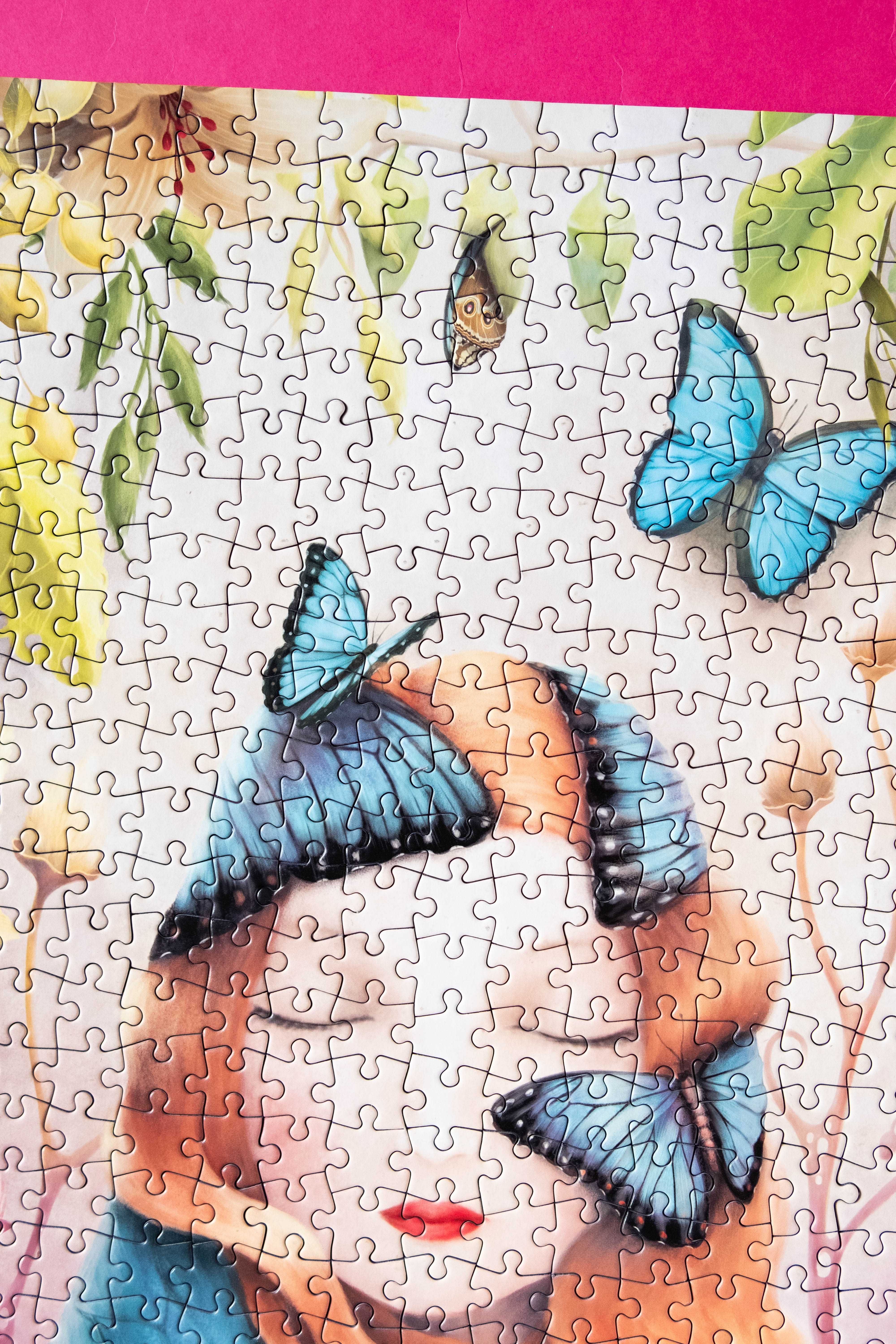 Puzzle Demelsa Haughton The Morpho Garden 1000 el komplet