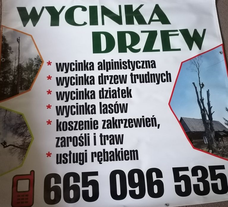 Wycinka Drzew Alpinistycznie Profesjonalnie