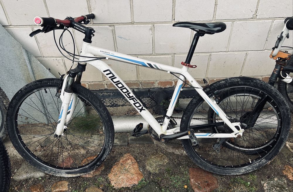 Moddy fox Anarchy 100