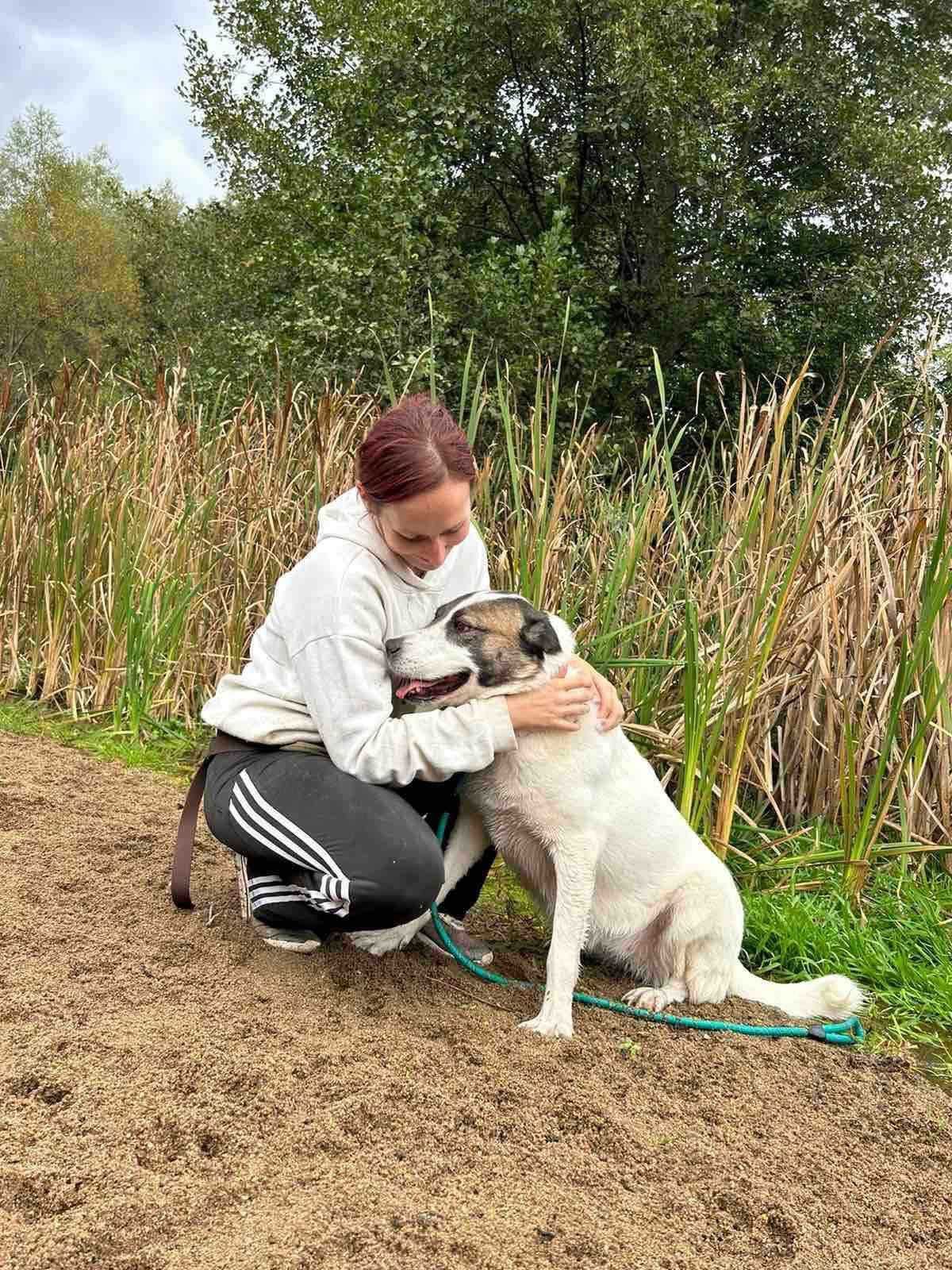 ZOYA- piękna pozytywna istotka. Uratowana w Bułgarii.