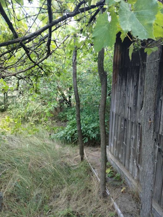 Продається дача КООП " Світанок-2 "з фінським будиночком.