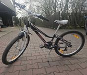 Rower młodzieżowy Trek MT 220 aluminiowa rama koła 24"