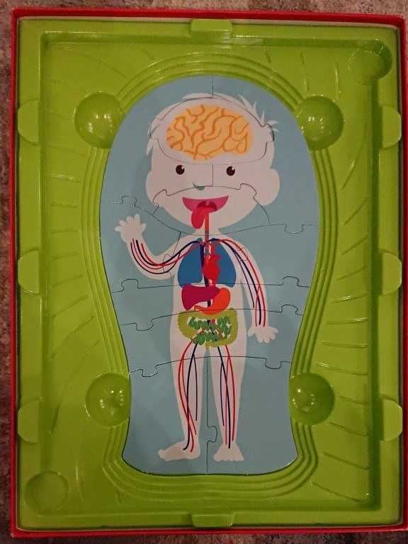 Puzzle: Aprende o Corpo Humano (+4)