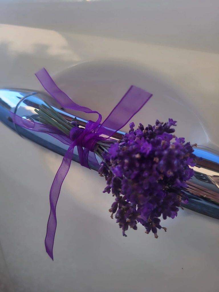 Fajne Białe Infiniti Auto na Wesele