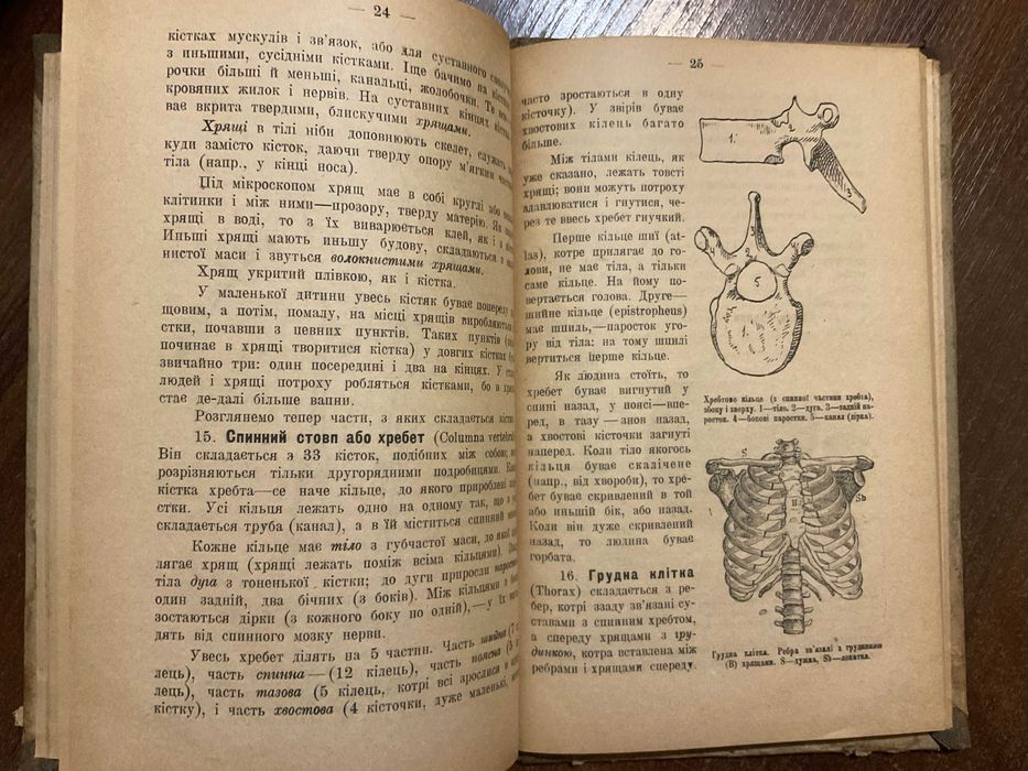 Київ 1918 Анатомія і фізіологія людини Коваленко вбитий нквд часи УНР