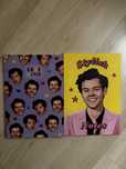 notatnik harry styles