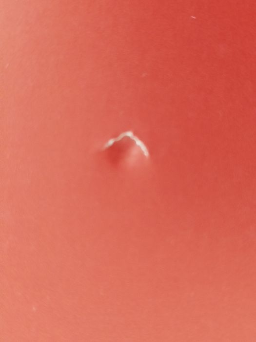 Boas esposas - Louisa May Alcott