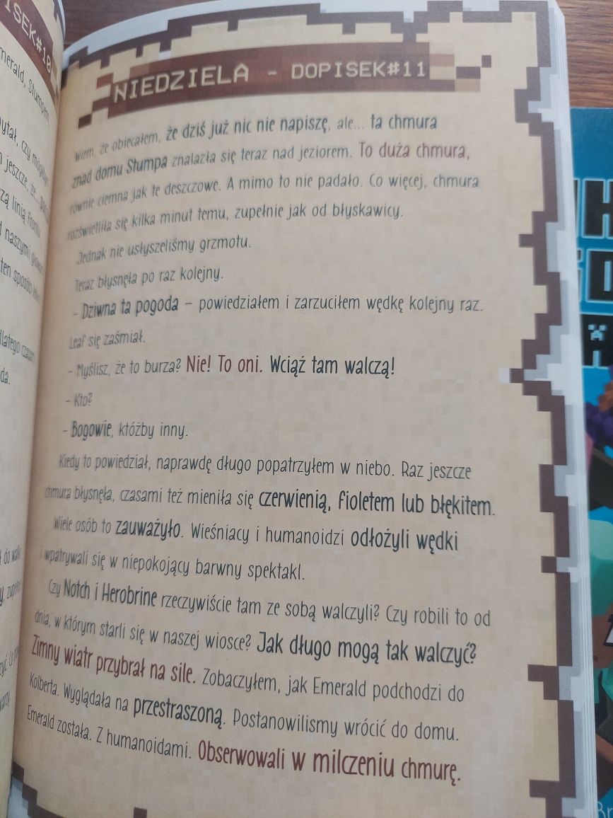 Pamietnik 8 bitowego wojownika Sciezka diamentu