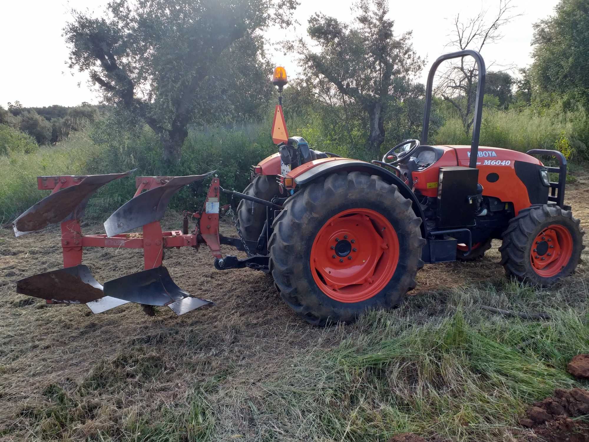 Limpeza de Terrenos Agrícolas e Florestais