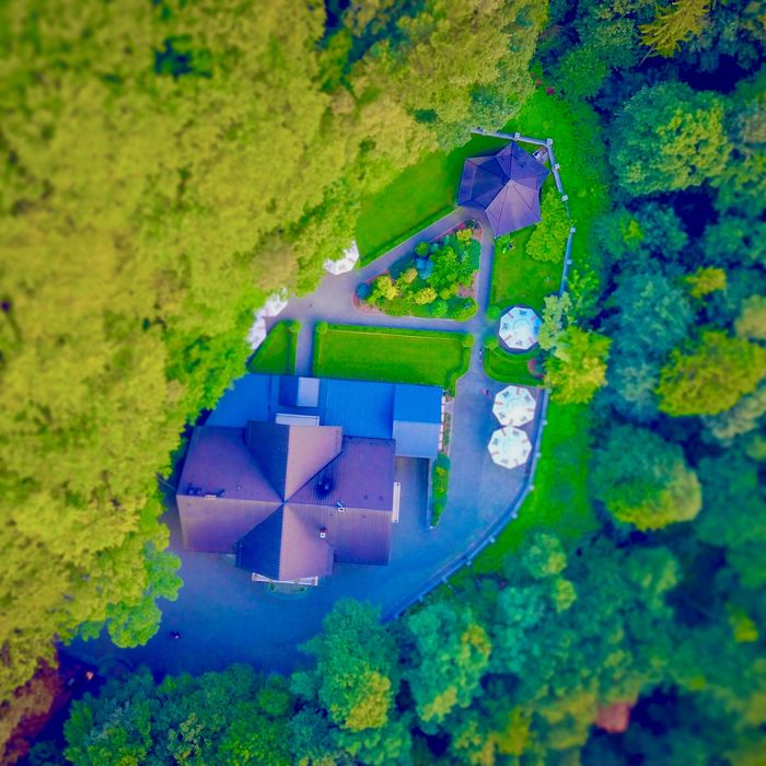 Usługi ogrodnicze, przycinanie żywopłotów, wycinka drzew, rębak