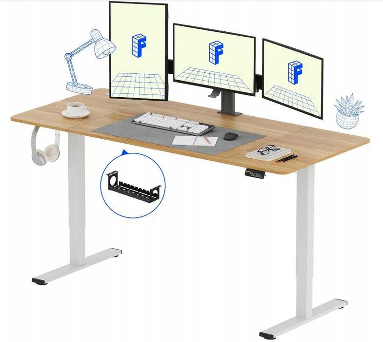 FlexiSpot Biurko Elektryczne z Regulacją 160x60 cm biały blat
