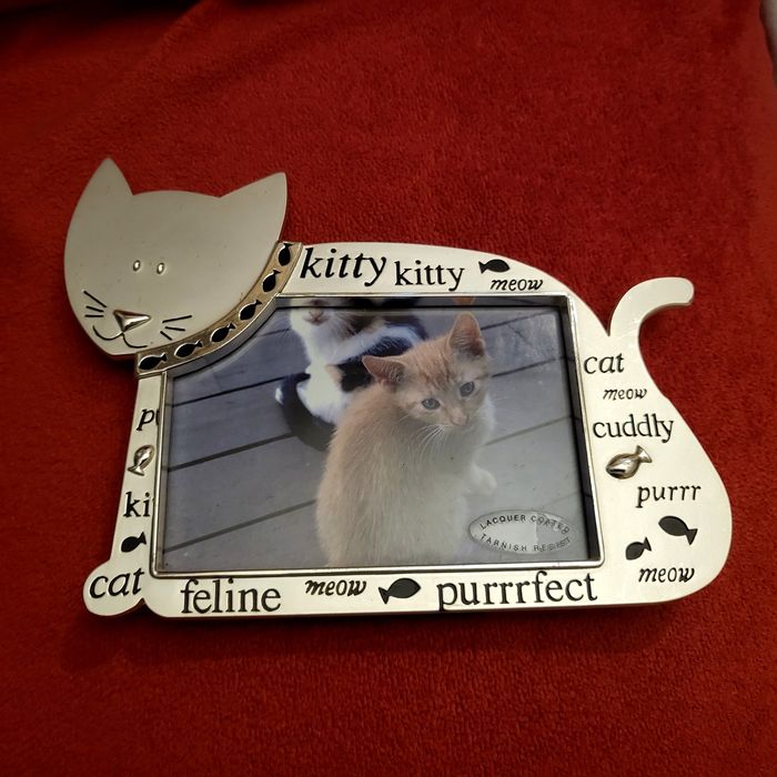 Ramka na zdjęcie z kotem, metalowa, ozdobna, unikat