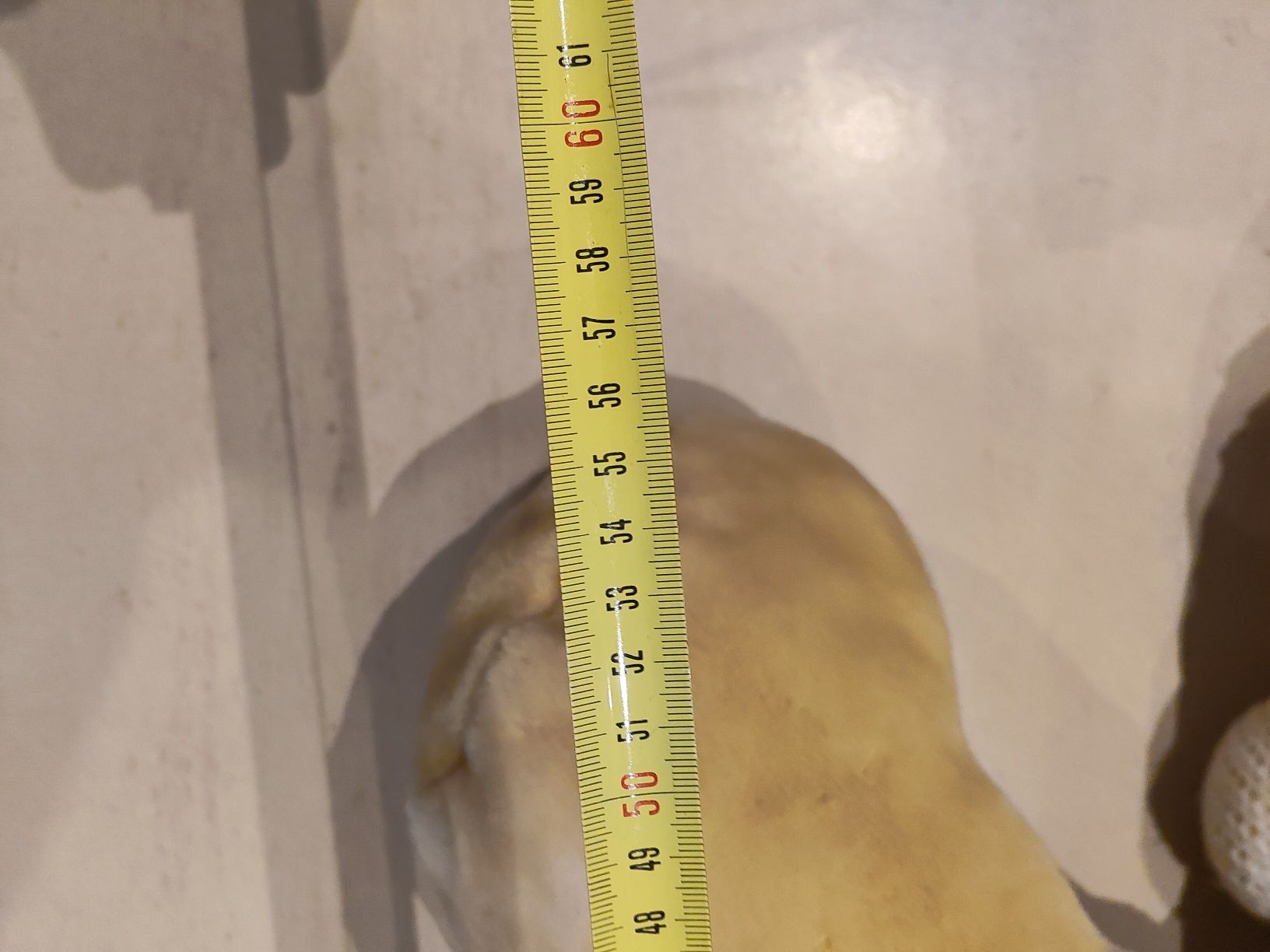 Peluche cão com cachecol e gorro