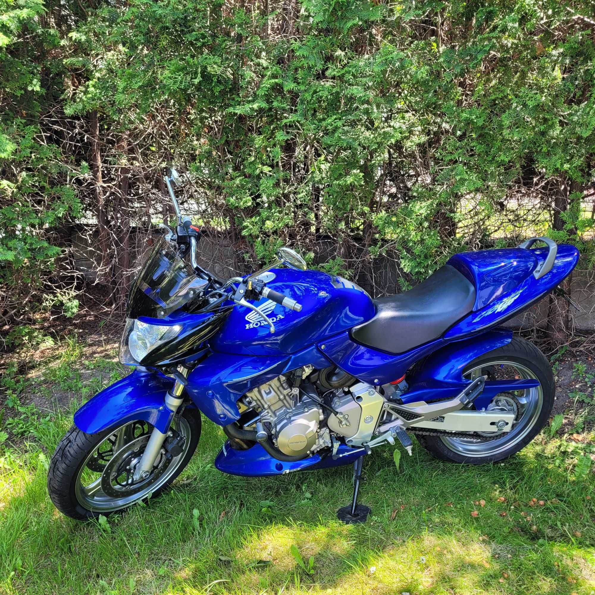 Honda hornet 600 sprowadzona max tuning Devil carbon liść 29tkm cbr