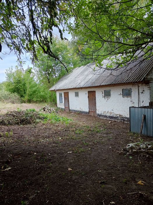 Продам будинок в селі Світильня Броварського району