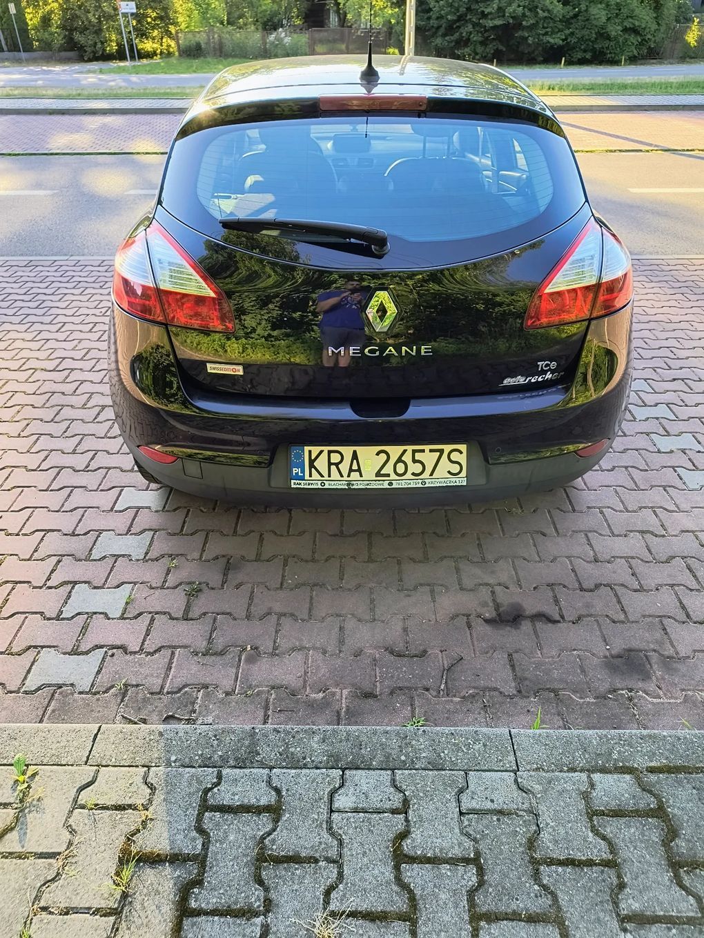 Renault Megane Renault Megane III 1.2 16V Bose Edition