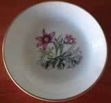 Prato Royal Worcester Fine Bone China England C51