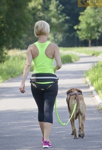 Mocny odblaskowy pas biodrowy do biegania z psem 4 możliwości zapięcia